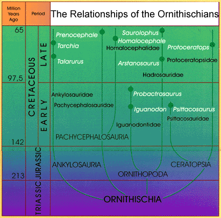 Ornithiscian philogeny