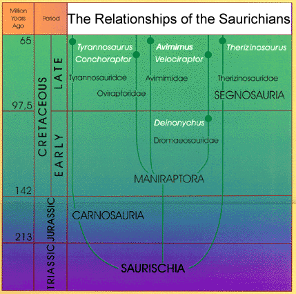 saurischian philogeny