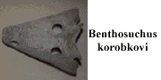 go to Benthosuchus