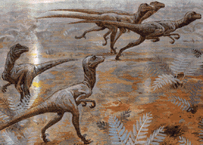 deinonychus reconstruction