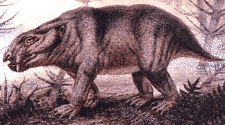 dicynodon reconstruction