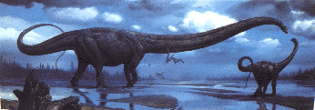 sauropod reconstruction
