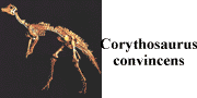 go to Corythosaurus