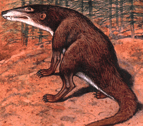 Silphedosuchus reconstruction