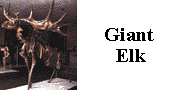 go to giant elk