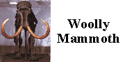 go to woolly mammoth