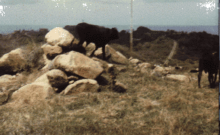 gunnery range residents